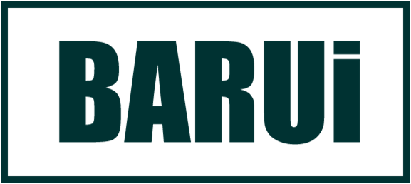 Henan Barui Company Logo 1