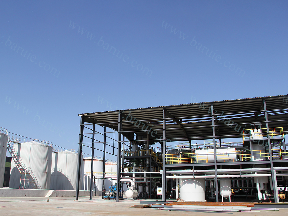 300TPD biodiesel production machine plant 6
